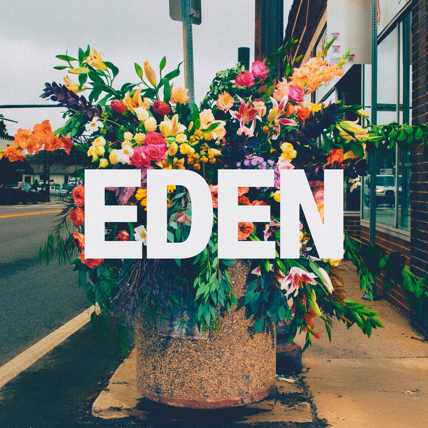 EDEN Album Merch