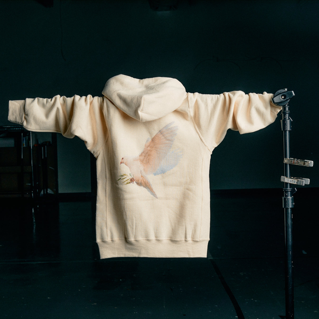 THE DOVE HOODIE – The Belonging Co